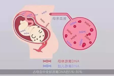 孕妇梦见自己流产，梦境背后的深层含义与心理解析