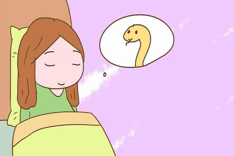 梦到三条蛇围着自己，孕期梦境的深层解析与宝妈们的独特体验