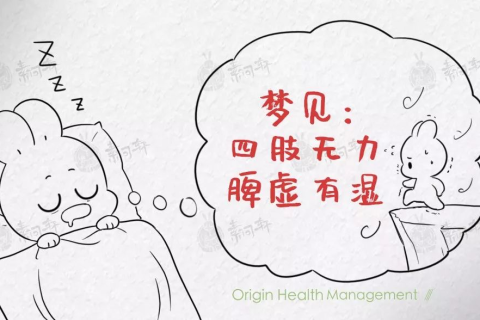 做梦梦到自己被蛇咬了，解读梦境背后的深层含义与心理启示