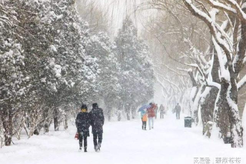 梦见下大雪，预示未来希望与转变的梦境解析