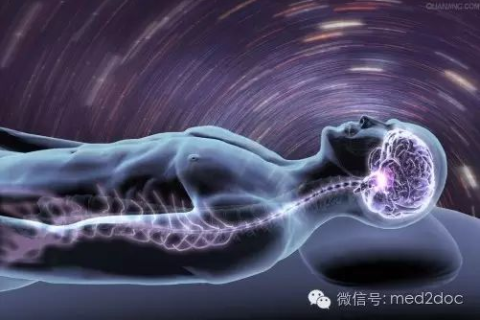 梦境中的纠缠，蛇的反复出现与深层解读