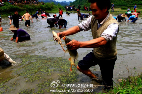 洪水过后的丰收之梦，解析梦见在田里抓鱼的多重寓意