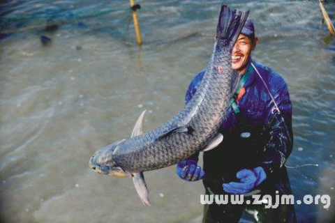 求解梦高人指点，梦见他人钓大鱼，寓意深远，未来可期