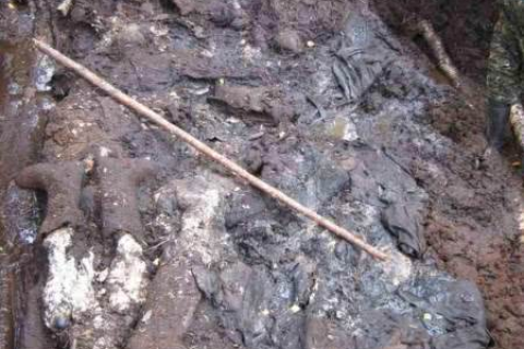 做梦梦到尸体何解，探索梦境中的死亡象征与深层含义