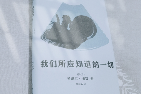 梦境与现实交织，我几天未露面，手机失联，重逢后的梦境解析