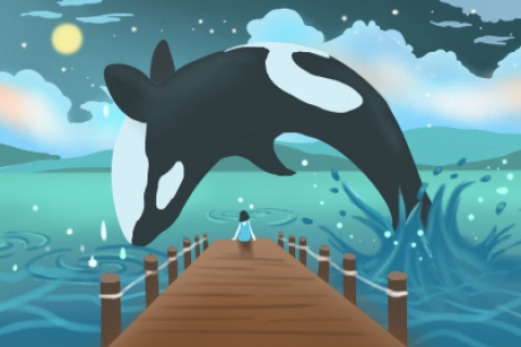 梦境中的奥秘，解读做梦梦到乌龟的深层寓意