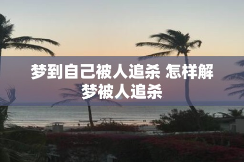 梦境追踪，揭秘做梦梦到被人追杀的深层含义与心理解析