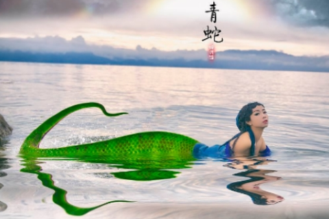今早上做梦梦见一条青蛇，探索梦境背后的深层含义与启示