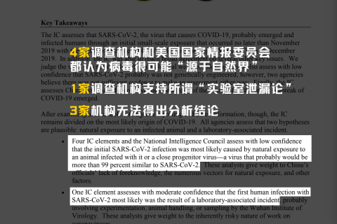 孕妇梦境中的神秘符号，解读蛇咬背后的深层含义