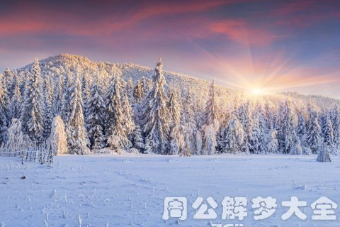 梦见下雪，梦境中的纯净与希望