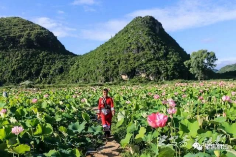 分手后五年，她为何仍频繁入我梦境？