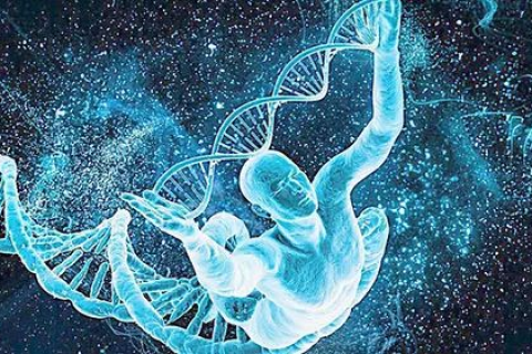 梦境中的生命奇迹，探索梦见怀孕生子的深层含义