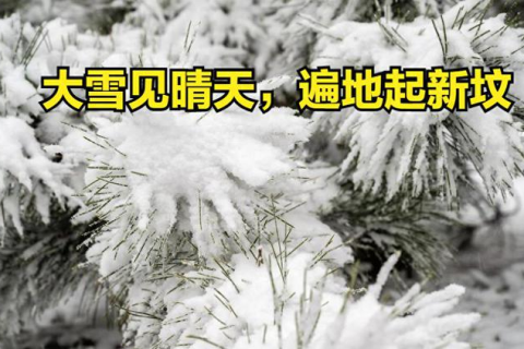 梦境交织，先下雪后下雨的奇妙预兆与心灵启示
