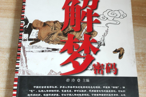 求高手解梦，此梦很怪，不是高手别瞎答