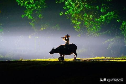 梦境中的牧歌，探寻放牛走失与重逢的深层含义