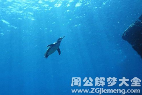 梦见游泳与水中鱼群，探索梦境的深层含义与心理启示