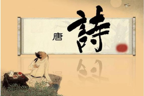 梦见黑蜘蛛，探索梦境背后的深层含义与心理启示