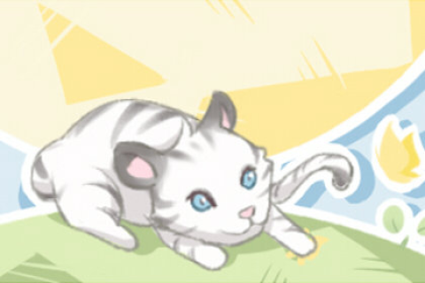 梦见猫爱上我的预兆，解读梦境中的神秘信号