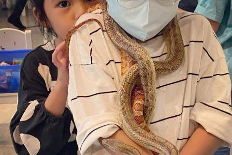梦到绿色小蛇，解读梦境中的隐秘象征