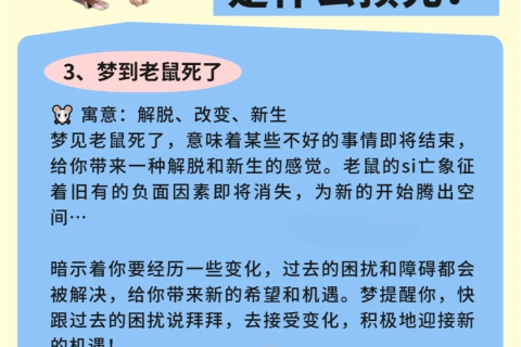 解梦了，梦见老鼠——探索梦境背后的深层含义与心理启示