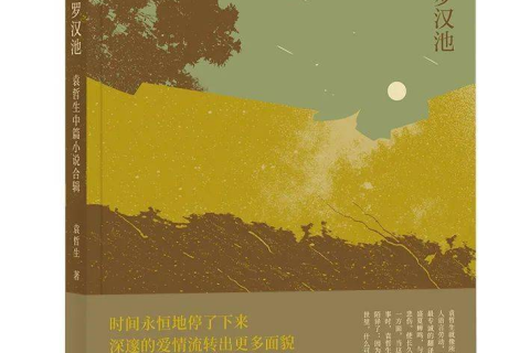 遗忘的财富与父爱的回响，解析梦境中的情感与记忆