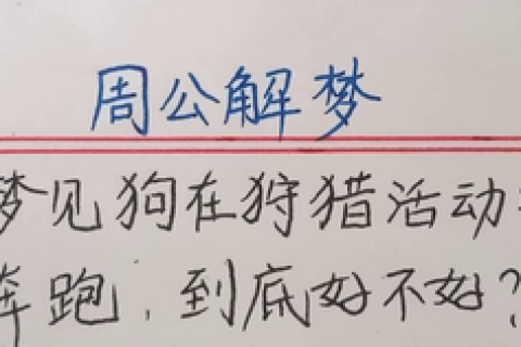 周公解梦，梦见好多小子，寓意何在？