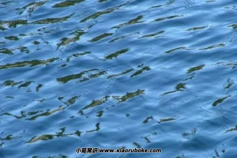 梦见河水涨满溢出来，寓意与梦境解析