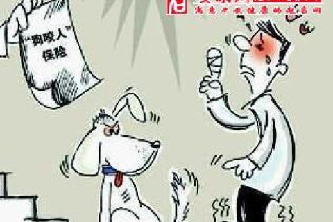 求助解梦，梦见被狗咬的深层含义与心理分析
