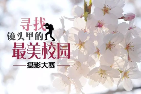 梦见男友快死了重赏，梦境背后的情感解析与心理启示