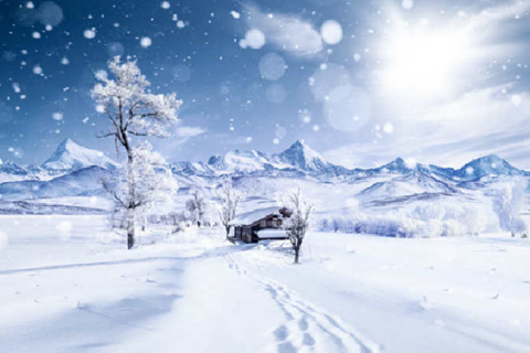 为什么梦见下雪下到屋顶被埋，梦境背后的深层含义与解析
