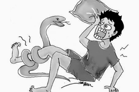 梦见丈夫被蛇咬到手，梦境背后的深层含义与解析