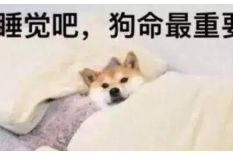 晚上做梦梦到自己被狗咬了，解读梦境背后的深层含义与心理启示
