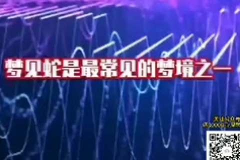 梦境解析，蛇群涌动的深层含义与心理解析