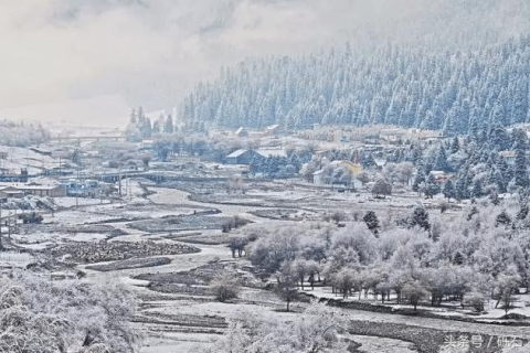 梦境的奥秘，婚礼缺席、雪景与日半食的交织意象