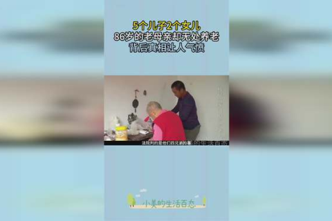 怀孕老是梦见自己还在读书，梦境背后的深层含义与解读