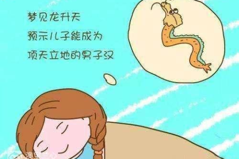 胎梦解析，梦见蛇的深层含义与孕期心理探索