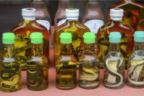 梦境解析，我梦见两条蛇，一条把另一条吃了——潜意识的隐喻与深层含义