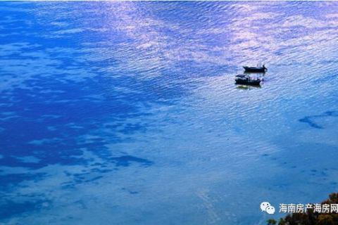 梦见梦到水地震，探索梦境中的预警与内心波动