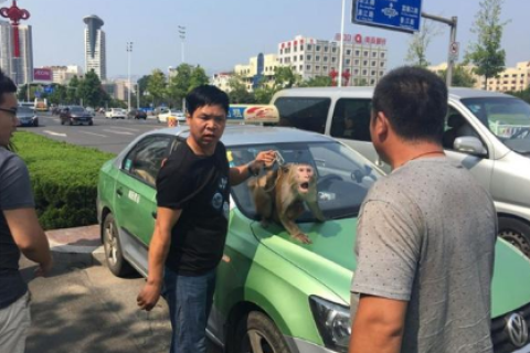 梦境警示，梦见家人出车祸的深层含义与心理解析