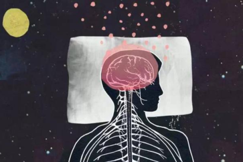 经常梦到一个人，是否代表他正在遗忘你？深度解析梦境与遗忘的微妙联系