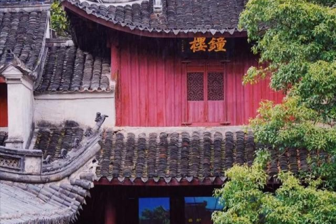 梦境中的奥秘，都梦到虫代表什么？