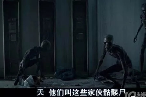 梦魇中的双煞，僵尸与骷髅的深层寓意与心理解析