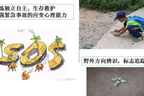 做梦梦见抓鱼，探索梦境中的深层含义与心理启示