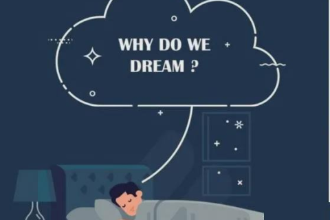 昨晚做梦梦见钱包丢了，梦境背后的深层含义与心理解析