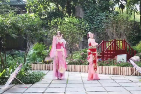 已婚女人梦见青蛇，梦境背后的深层含义与心理解析