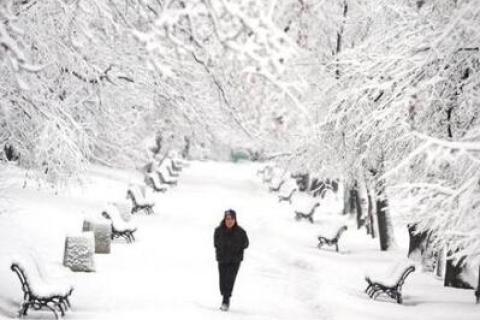 梦见远处下雪自己脚下没雪，内心的渴望与现实的疏离
