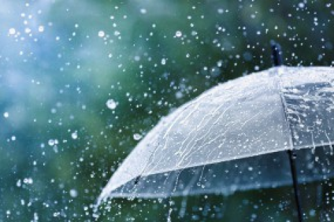 梦见傍晚下小雨，心灵的洗礼与未来预兆