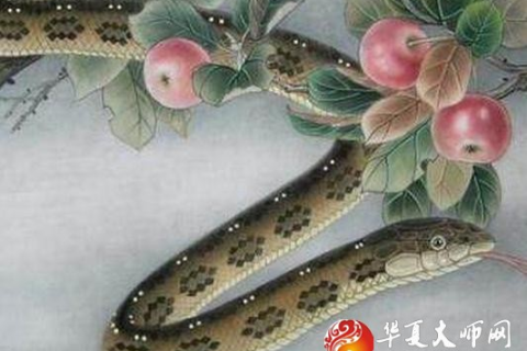 梦见蛇与财富交织的梦境，探索潜意识中的象征与启示