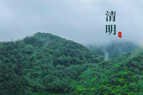 昨夜梦回清明时，扫墓路上的心灵之旅与众多墓地的象征解读