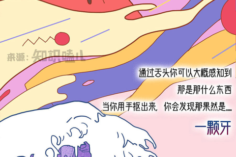 梦见自己被追杀还掉了颗牙齿，梦境背后的深层含义与解析